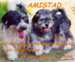 AMISTAD