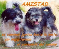 Amistad