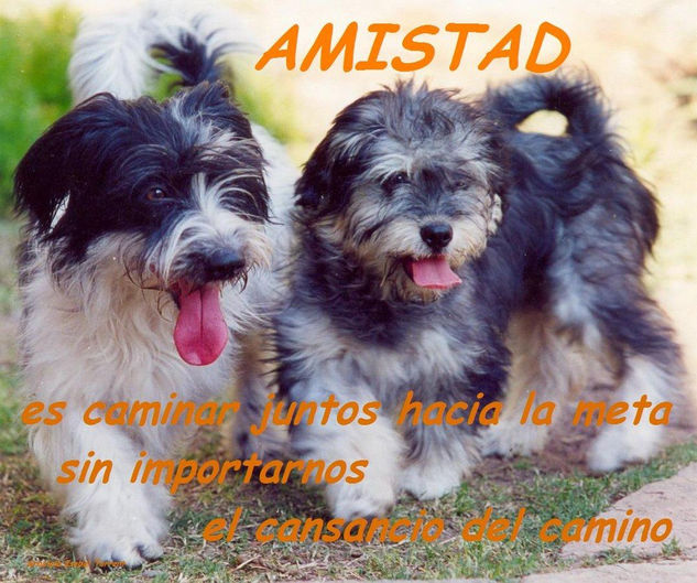 AMISTAD Naturaleza Color (Química)