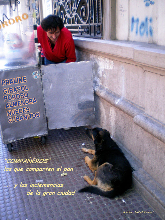 COMPAÑEROS