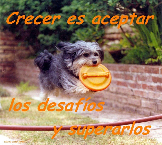 CRECER