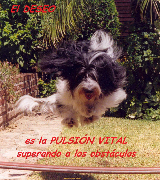 EL DESEO