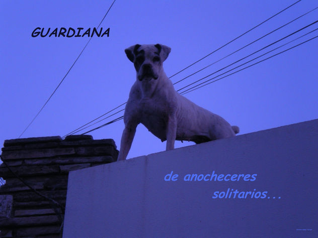 GUARDIANA