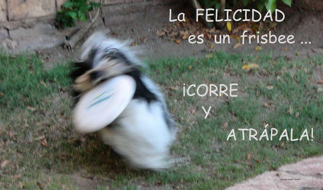 LA FELICIDAD 