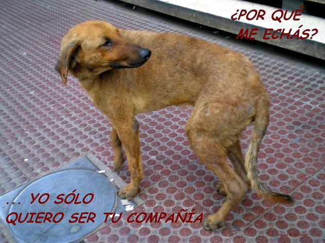 POR QUÉ
