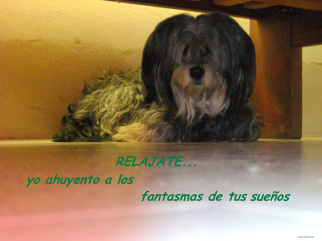 RELAJATE
