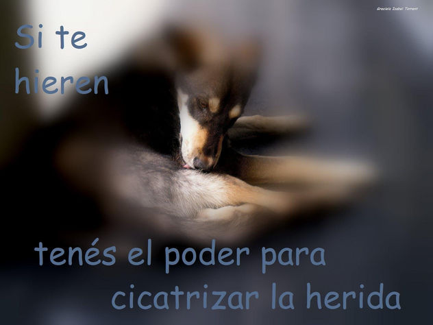 SI TE HIEREN