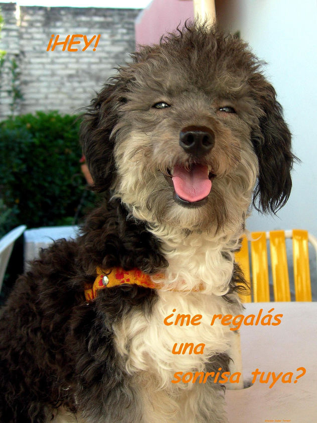SONRISA