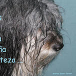 MENSAJES CANINOS thumbnail 1