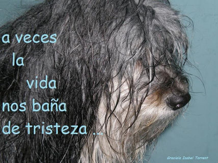 Tristeza