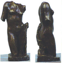 Torso Femenino