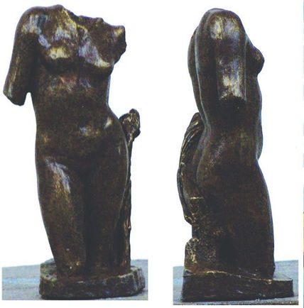 Torso Femenino