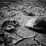 "PhotoDocumentary" thumbnail 1