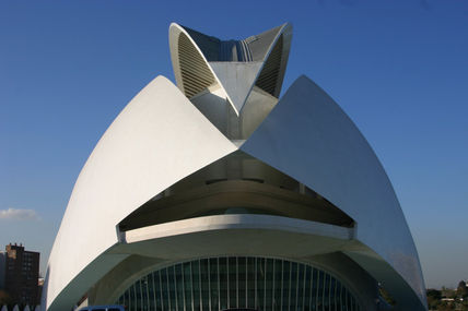 Cac1