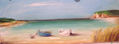 barcas