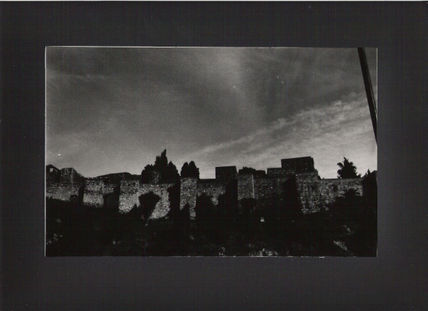 "La Alcazaba"