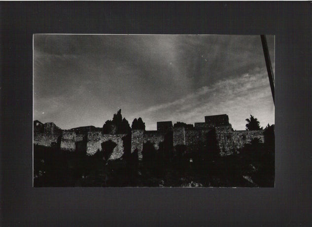 "La Alcazaba" Arquitectura e interiorismo Blanco y Negro (Química)