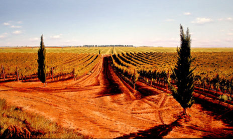 La Mancha