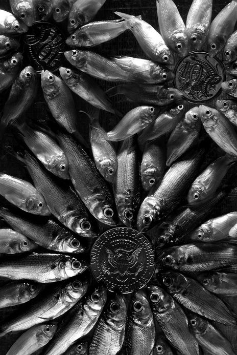 Flor de agua
