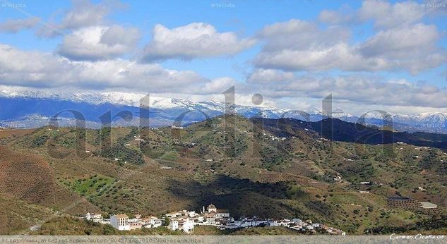 Vista panorámica de Macharaviaya Other Themes Color (Digital)