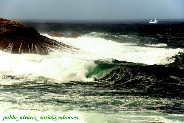 OLAS con barco 