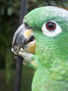 loro 10