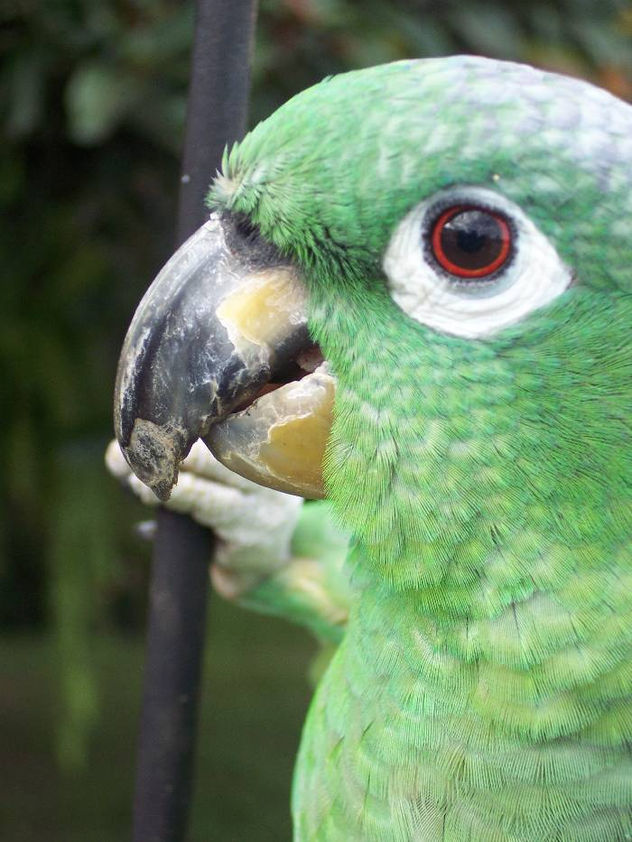 loro 10