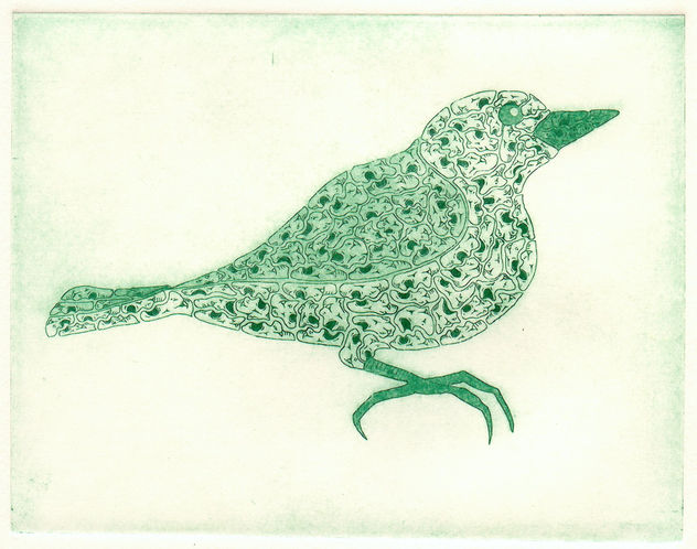 Avis Viridis