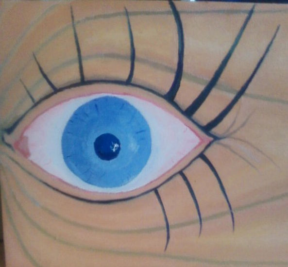 ojo Oil Canvas Others