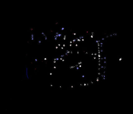 Estrellas