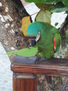 loro 21