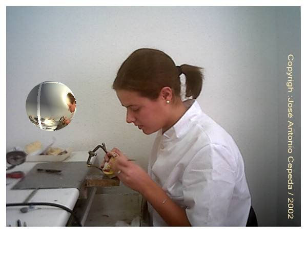 HOMENAJE A VERMEER,2002