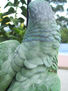 loro 31