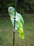 loro 37