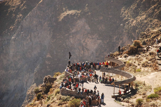 Mirador al Cañon del Colca Naturaleza Color (Digital)