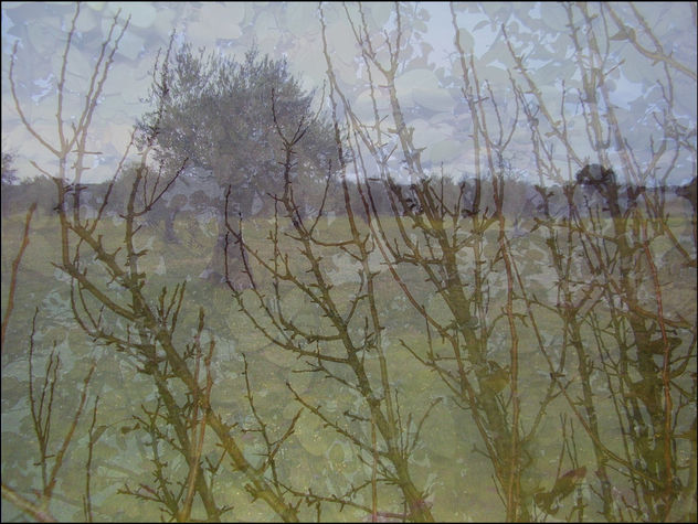 el otoño