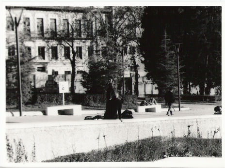 "Armonía"