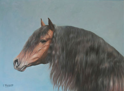 Caballo de p.r.e.