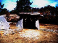 REFUGIO