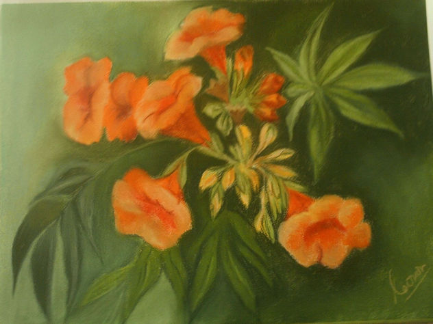 campanillas