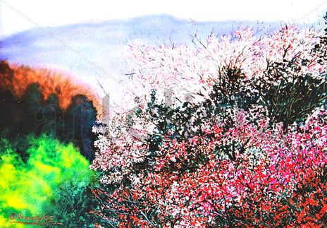 PRIMAVERA -...