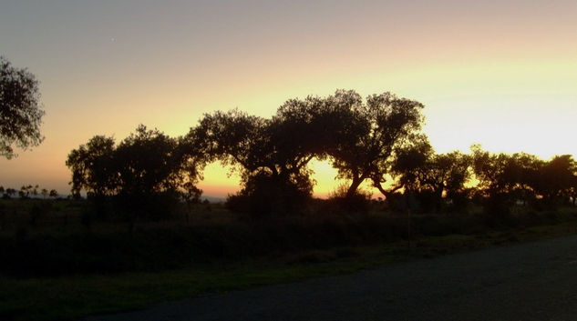 Crepúsculo 