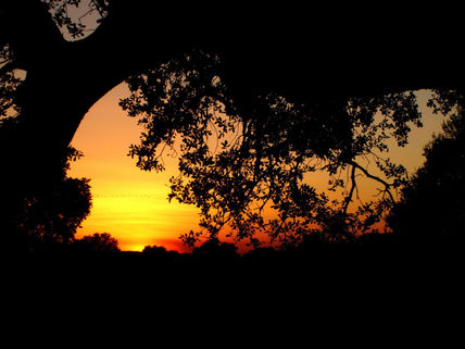 Puesta de sol