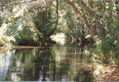 REFLEJOS.