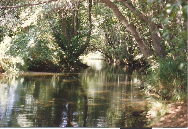 REFLEJOS. 