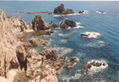 MAR Y TIERRA.