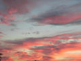 CIELO.