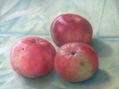 manzanas