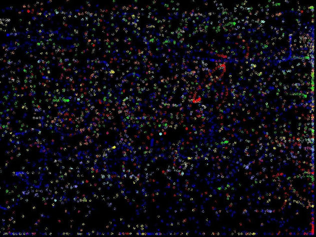 Estrellas modificadas
