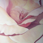 flors thumbnail 1